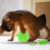 Unique Bargains Interactive Cat Playing Ball with Bell - 4 of 4
