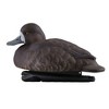 Avian-X Topflight Blue Bills Decoy Set Realistic Duck Decoys with Weight Forward Swim Keel, Greater and Lesser Blue Bills, Set of 18, Multicolor - 3 of 4