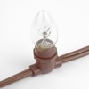 Novelty Lights Globe Outdoor String Lights with 100 Bulbs G30 Vintage Bulbs Brown Wire 100 Feet - image 4 of 4