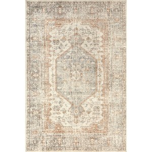 Nuloom Jacquie Pet Friendly Machine Washable Vintage Floral Area Rug - 1 of 4