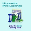 Nicorette 2mg Mini Lozenge Stop Smoking Aid - Mint - 4 of 4
