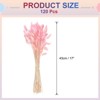 Unique Bargains Decorative Natural Dried Floral Bunny Tail Artificial Plants 120 Pcs - 2 of 4