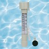 Swimline HydroTools Buoy Swimming Pool and Spa Thermometer 8" - White - 2 of 4