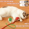 Dog Cat Toys Balls,Interactive Rolling Ball Cat Toy, 360° Smart Automatic Rolling Pet Ball, Fast Moving Toy for Dog and Cat - 4 of 4