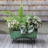 ACHLA Designs With Odette Stand Rectangular Steel Planter Boxes - 2 of 4