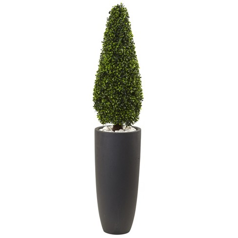 50 Boxwood Topiary With Gray Cylindrical Planter Nearly Natural Target