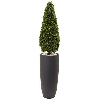 50" Boxwood Topiary with Gray Cylindrical Planter - Nearly Natural