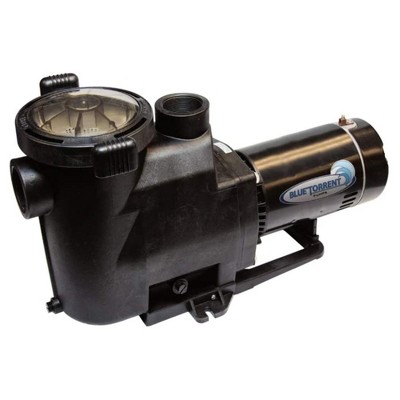 Blue Torrent 1 HP Blue Thunder Single Speed 2 Inch Port Pool Replacement Pump with On Off Switch and Standard Plug for Outdoor In Ground Pools