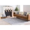 Hauteloom Alcester Gray Premium Sheen Carpet - 4 of 4