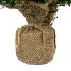 Northlight 1.5 FT Pre-Lit Two-Tone Green Pine Artificial Christmas Tree in Burlap, Clear LED Lights - 4 of 4