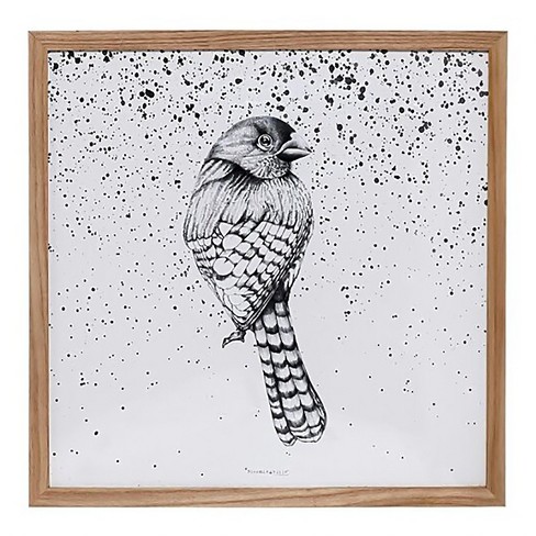Wood Framed Bird Wall Dcor 3r Studios Target