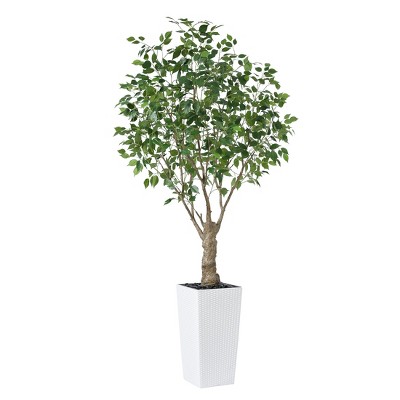 DR.Planzen UV Resistant 6-7FT Artificial Pre Potted Ficus Tree with White Tall Planter for Indoor Outdoor Office House Decor