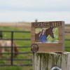 Pavilion Gift Company - Horse People - 6.75" x 7.5" Frame (Holds 4" x 6" photo) - Single Image Frames - 2 of 4