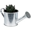 Northlight 4" X Pachyveria Succulent in Water Can Artificial Potted Plant - Green/Silver - 3 of 4