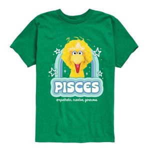 Boys' - Sesame Street - Pisces Big Bird Short Sleeve Graphic T-Shirt - 1 of 4