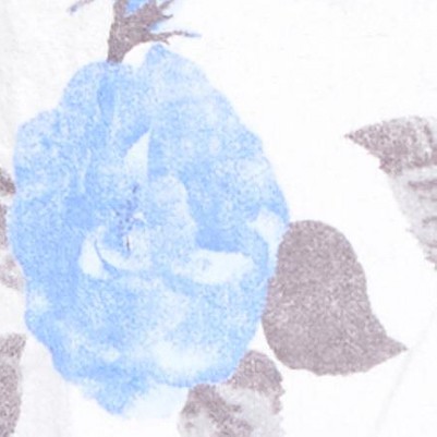blue rose