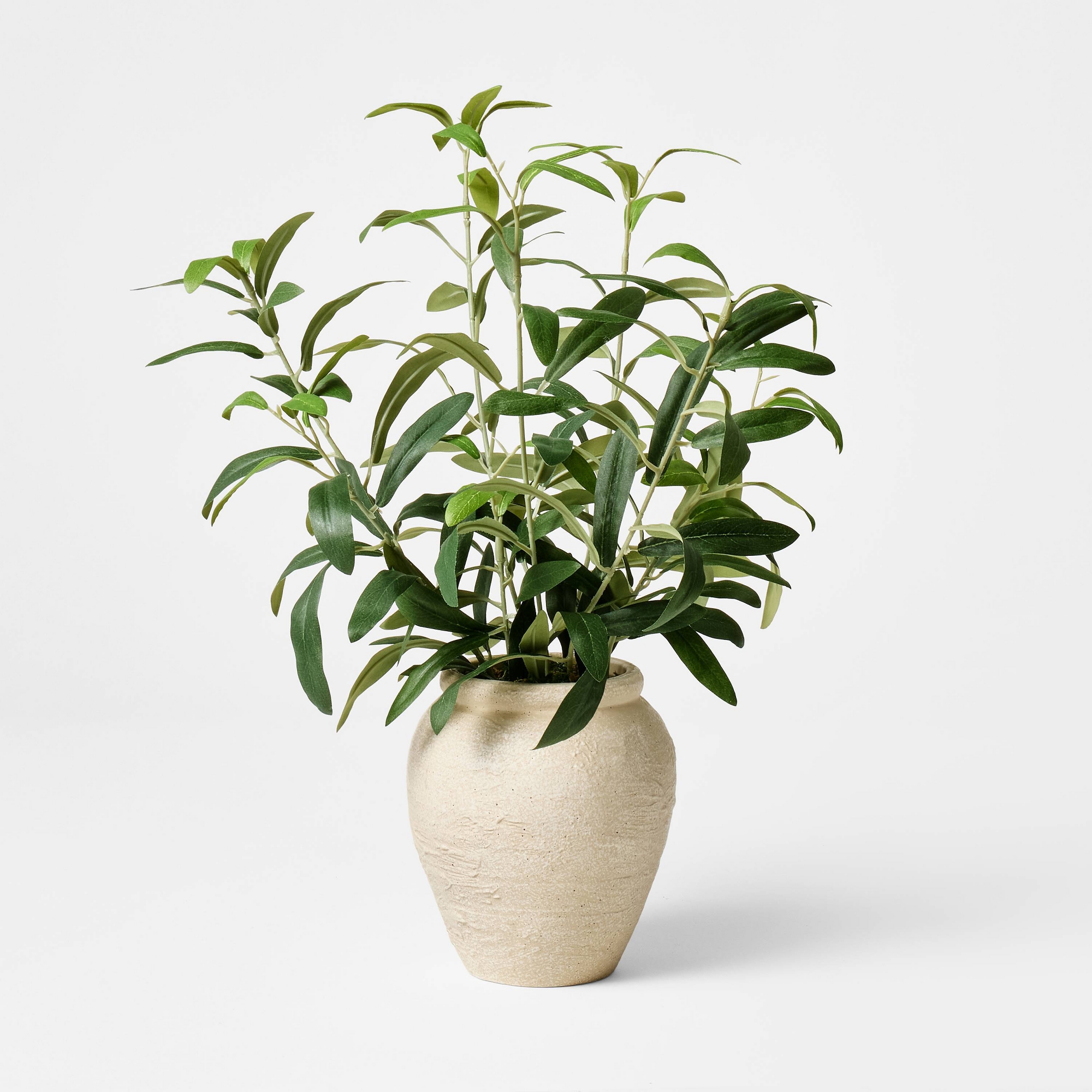 Small Olive Leaf Arrangement - Threshold™ designed with Studio McGee