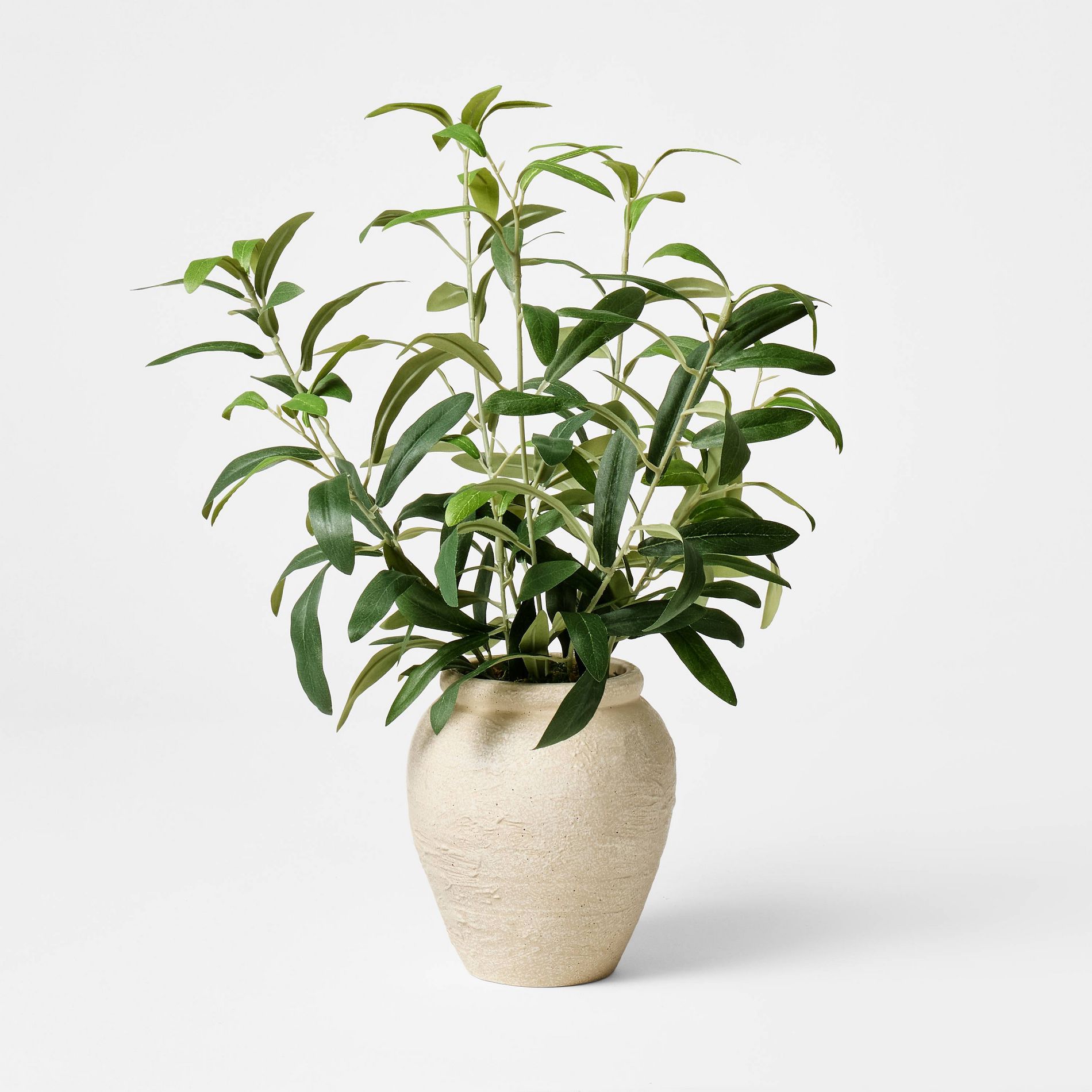 Small Olive Leaf Arrangement - Threshold™ designed with Studio McGee