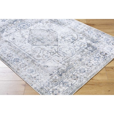 Hauteloom Annlea Living Room, Bedroom Machine Washable Area Rug - Traditional
