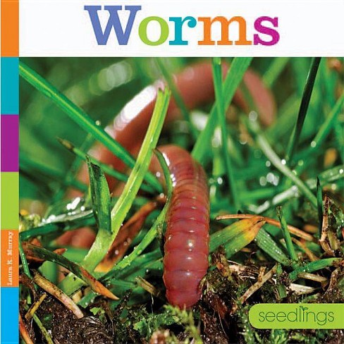 Worms - (Seedlings) by  Laura K Murray (Paperback) - image 1 of 1