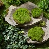 Faux Moss Pad (Set of 3) - 3 of 4