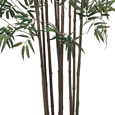 6' Green Silk Bamboo Topiary in Black Pot