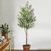 Boersma Oakpark Faux Olive Tree – Lifelike leaves and slender branches in a pot. Perfect for home décor with zero maintenance, year-round beauty. - 4 of 4