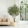 DR.Planzen 7FT Artificial Olive Tree with Thick Stump - UV Resistant Faux Plant for Indoor/Outdoor, Black Pot & Realistic Green Leaves - 2 of 4