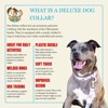 Country Brook Petz Deluxe Dog Collar - Abstract Collection - Made In The U.S.A. - 2 of 4