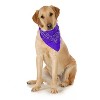 3-Pack Paisley Cotton Dog Scarf Triangle Bibs  - XL and Washable - 2 of 4