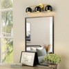 Rennnsan Sivoria 23"W Hardwired 3-Light Dome Industrial Dimmable Vanity Light in Black - 2 of 4