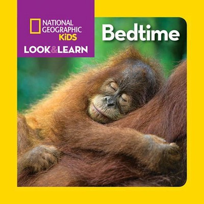 Look & Learn: Bedtime - by  Ruth Musgrave (Board Book)