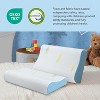 Lycvki Adjustable Memory Foam Sandwich Orthopedic Bed Pillow - 4 of 4
