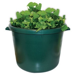 Emsco City Pickers Spud Potato Grow Kit Outdoor Novelty Planter - 1 of 4