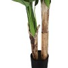 Artificial Plant, 55" Tall, Banana Tree, Indoor, Faux, Fake, Floor, Greenery, Potted, Real Touch, Decorative, Green Leaves, Black Pot - 3 of 4
