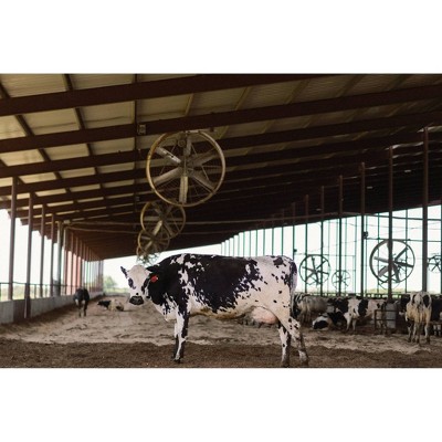 1836 Farms Cotton Candy Milk - 32 fl oz