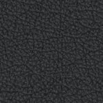 vegas golden knights