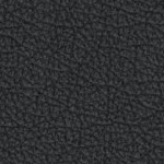 vegas golden knights