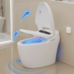 Dyonery one-piece toilet with standard comfort height, smart toilet with heated seat and night light, automatic flushing and automatic lid opening - 1 of 4