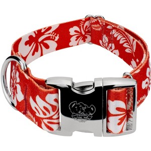 Country Brook Petz 1 1/2 Inch Premium Dog Collar - Summer Breeze Collection - 1 of 4