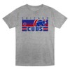 MLB Chicago Cubs Toddler Boys' 2pk Gray T-Shirt - 2 of 3