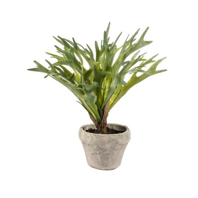 Vickerman 11" Artificial Dark Green Potted Staghorn.