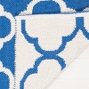 Montauk MTK725 Hand Woven Area Rug  - Safavieh - 4 of 4