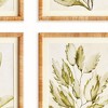 Plum & Post Coastal Greenery Prints, Set of 4 - Green Fir Wood Frame - 2 of 4