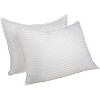 Back To School Kit, Stress-Free Dorm Basicsl by Blue Nile Mills - 3 of 4