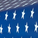 american flag