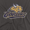 Men's Webster University Official Distressed Primary Logo T-Shirt - 2 of 4