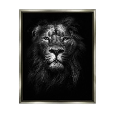 Stupell Industries King of the Jungle Lion In Shadows Black and White Photography