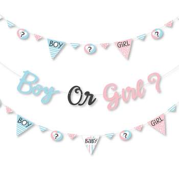 Big Dot of Happiness Baby Gender Reveal - Team Boy or Girl Party Letter Banner Decoration - 36 Banner Cutouts and Boy or Girl Banner Letters