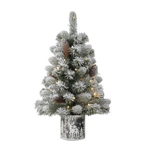 2ft Puleo Pre-Lit Flocked Tabletop Artificial Christmas Tree: Balsam, Hinged Branches, 35 Clear Lights, Metal Pot - 1 of 3